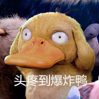 可达鸭脑壳疼,可达鸭头痛怎么回事