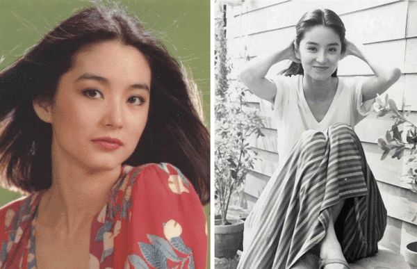 风华绝代的香港十大美女,能被称作风华绝代的香港艺人