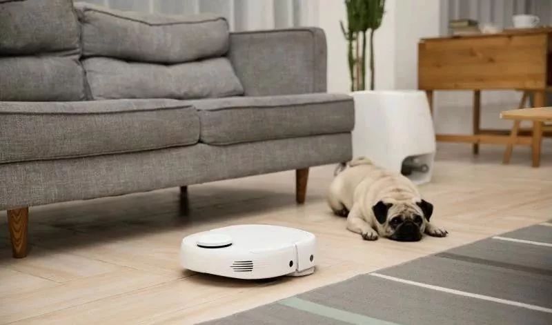 松山湖遛娃怎么玩,东莞松山湖遛娃路线