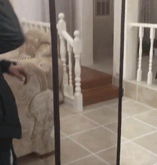 防蚊卷帘通风吗,怎么解决防蚊帘风一吹就开