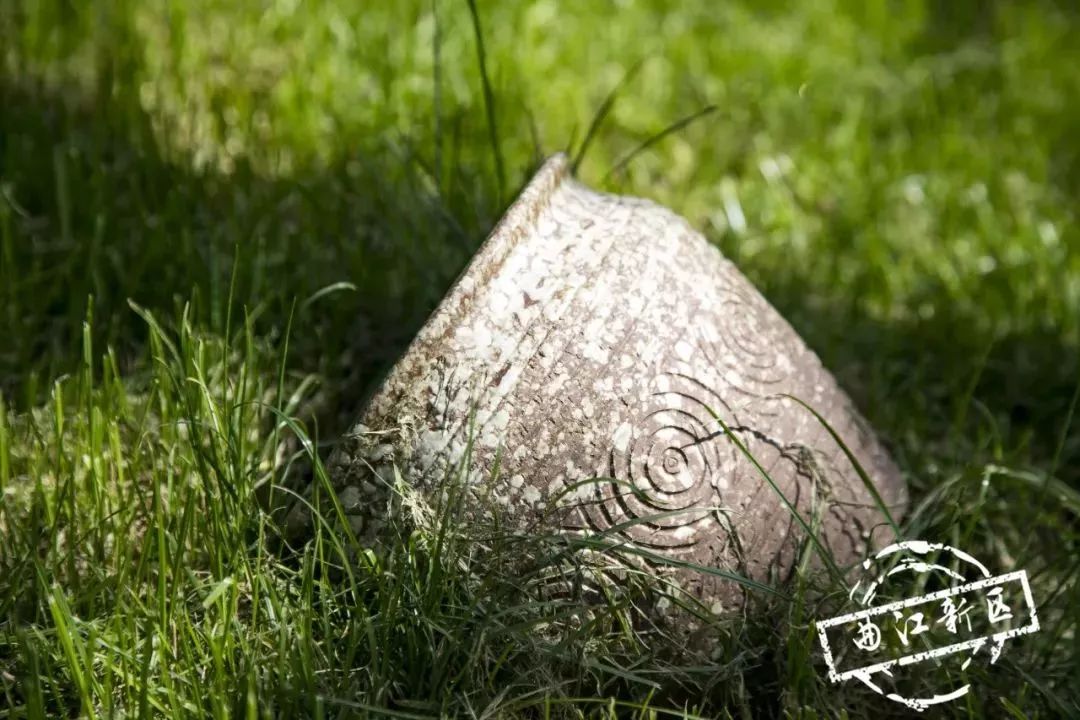 西安周边休闲美景,近期西安开放的景点