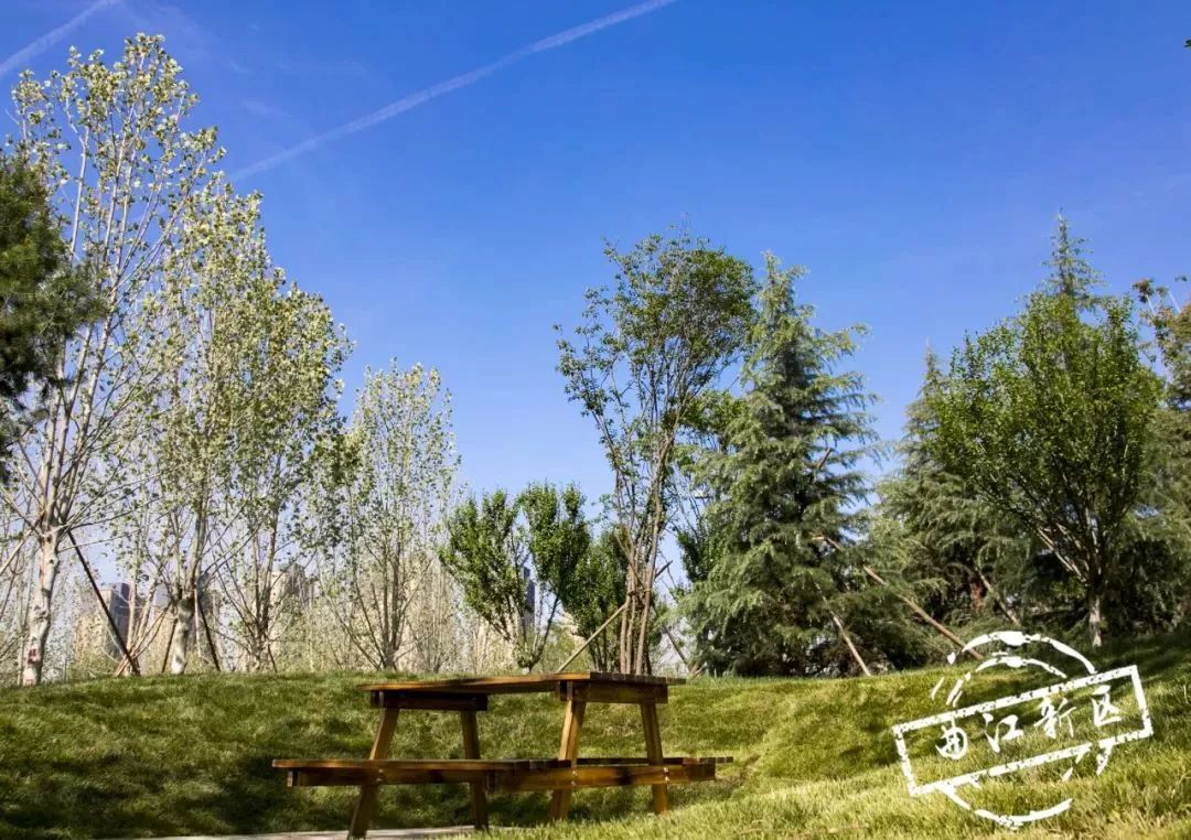 西安周边休闲美景,近期西安开放的景点