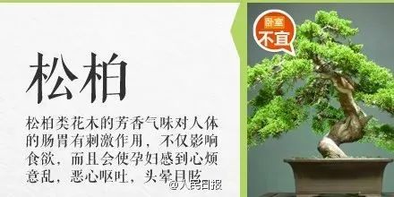 误食毒物最有效的急救方法,紧急提醒最新中毒案例