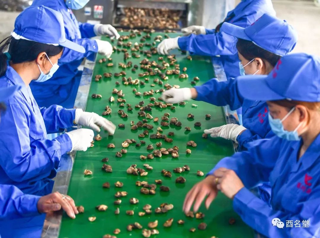 脱贫攻坚的成功故事,关于脱贫攻坚的成功故事