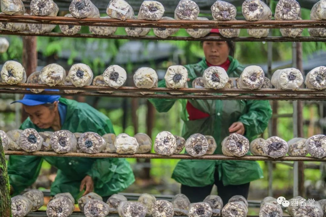 脱贫攻坚的成功故事,关于脱贫攻坚的成功故事