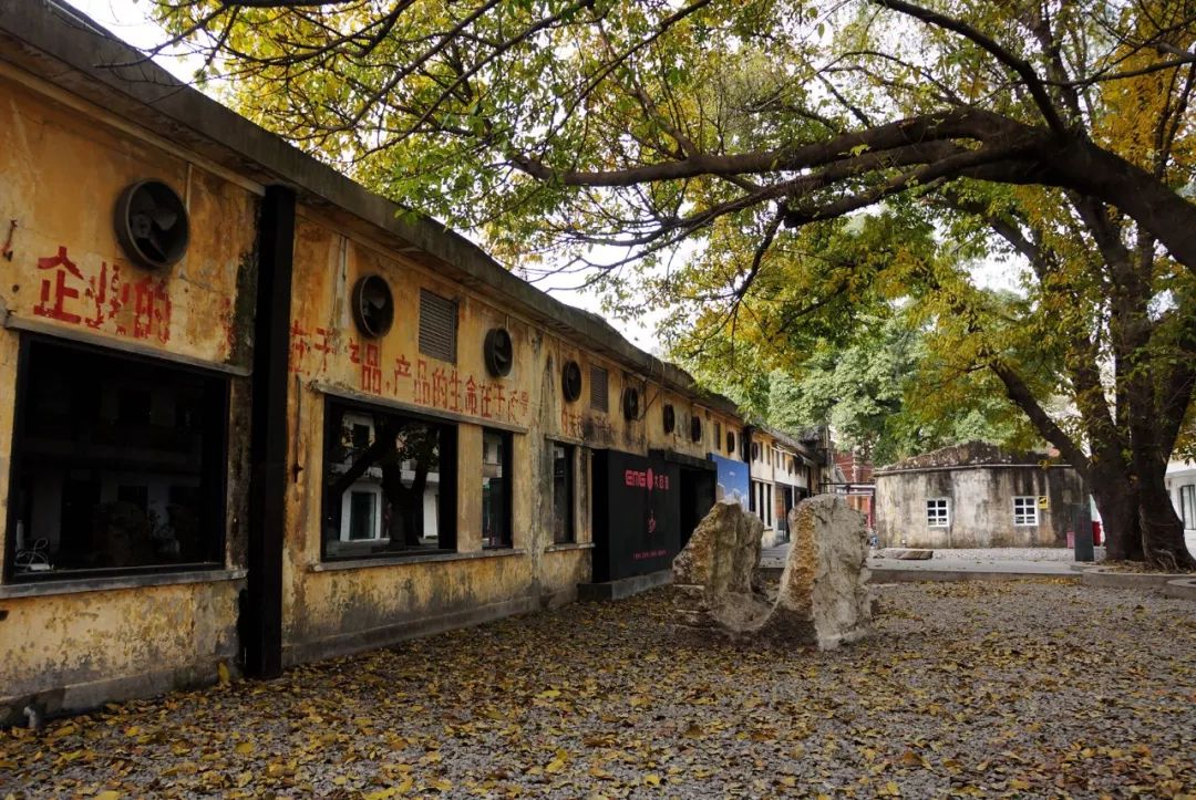 红专厂,红专厂现在的情况