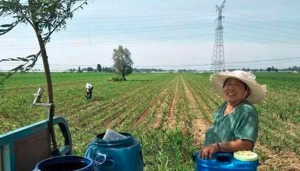 打过除草剂的喷雾器多久就没毒了,打过除草剂的喷雾器