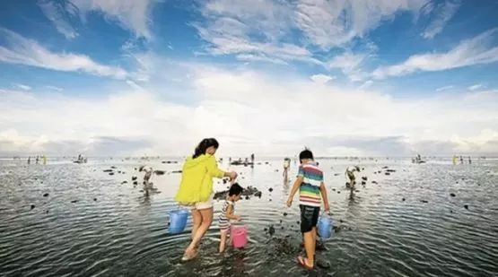 大连赶海抓海鲜的最佳地点黑石礁,大连市区蚬子赶海地点推荐