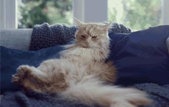 急需10分钟降温方法,30秒快速降温10度