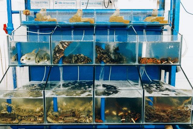 玩转三亚最实用的攻略在这里,三亚休闲之旅吃喝玩乐全攻略