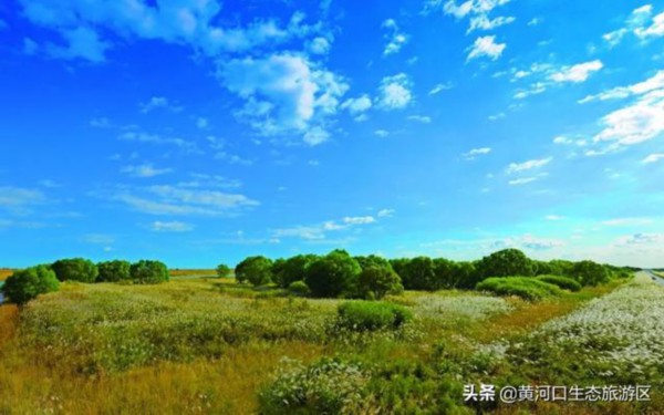 东营市赴青州古城开展精准宣传推介活动