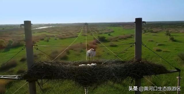 青州市旅游品牌宣传,强化旅游宣传推介