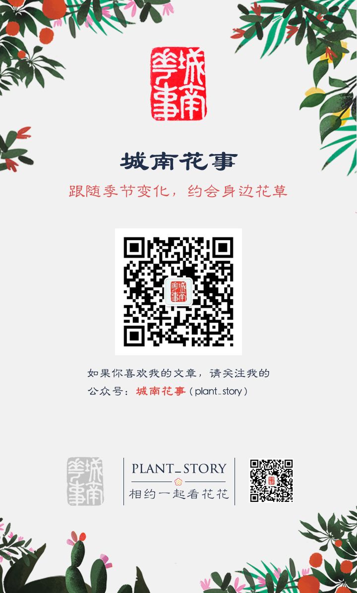 负荆请罪中的荆条,负荆请罪里的荆条