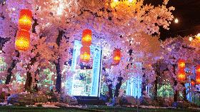 南宁六一免费景点推荐,南宁六一儿童游玩攻略