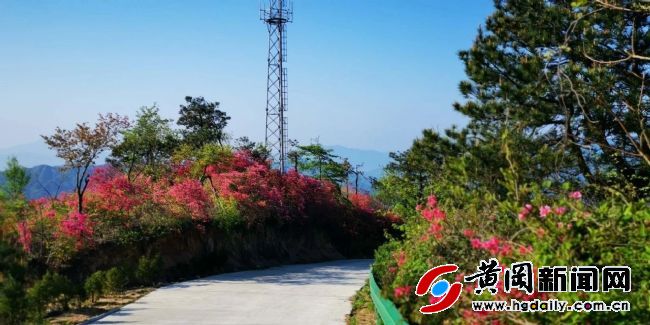 胡顺：“英雄山“上红色情