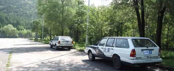 新手女司机怎样分辨红绿灯,怎么判断女司机技术好不好