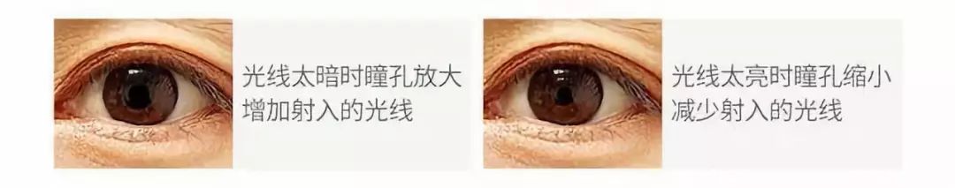 高性价比全光谱落地灯,一款性价比高的灯