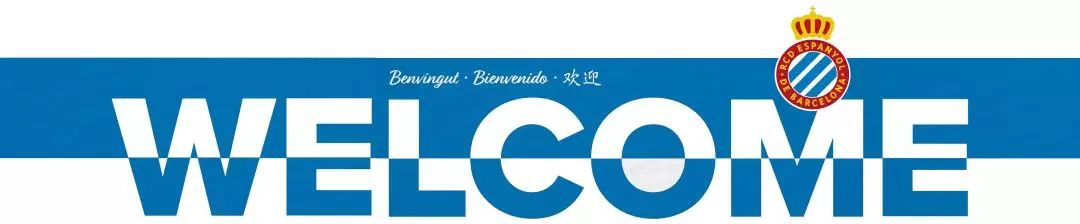 西班牙球迷街头欢迎球队归来,西班牙人归来