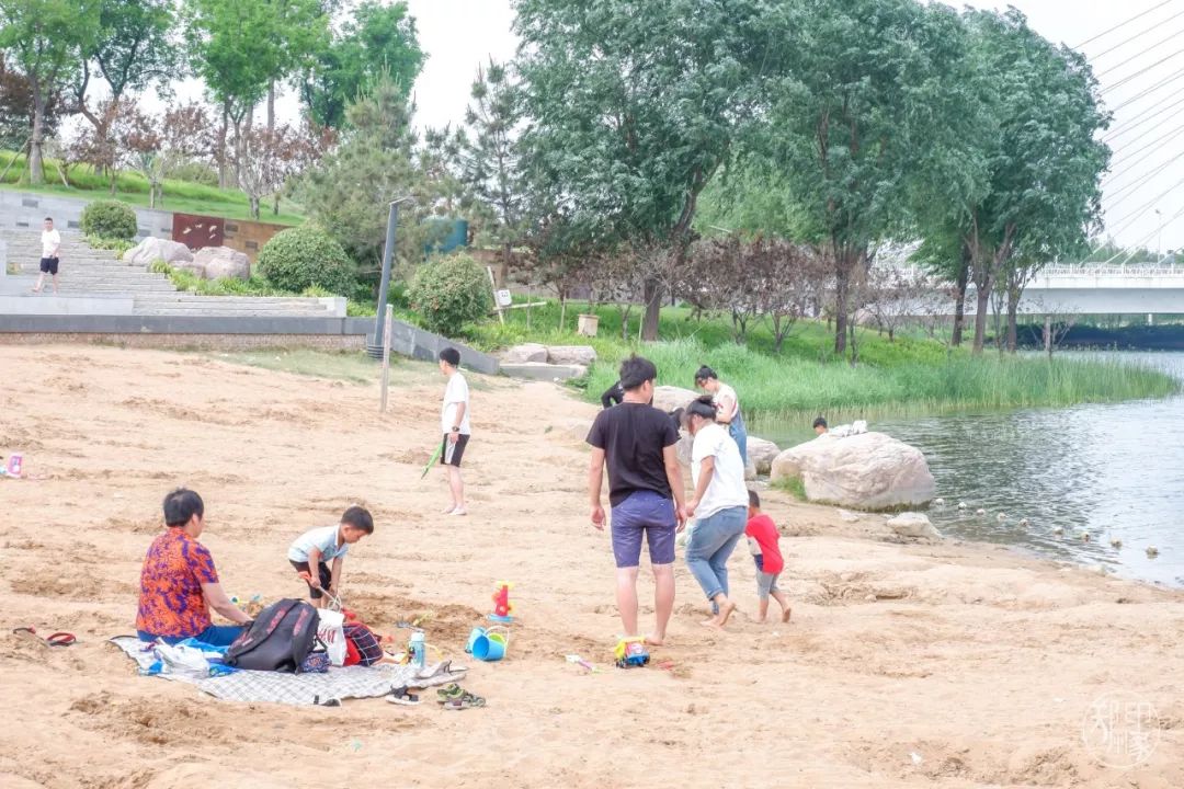 龙子湖沙滩游乐场在什么位置,蚌埠龙子湖网红沙滩多少钱