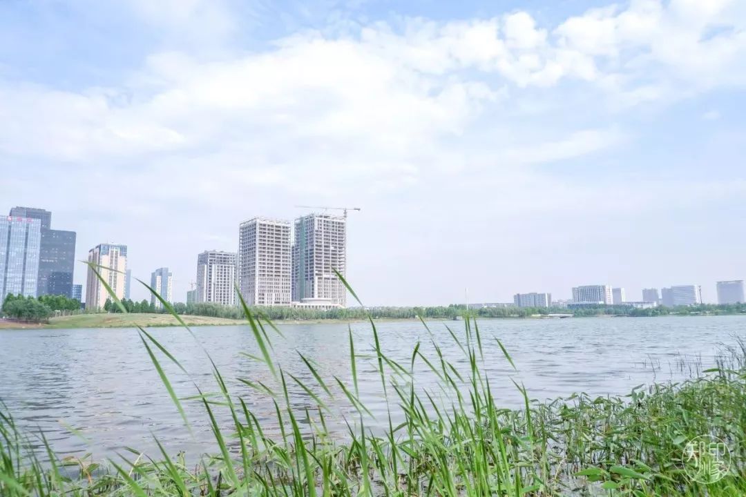 龙子湖沙滩游乐场在什么位置,蚌埠龙子湖网红沙滩多少钱