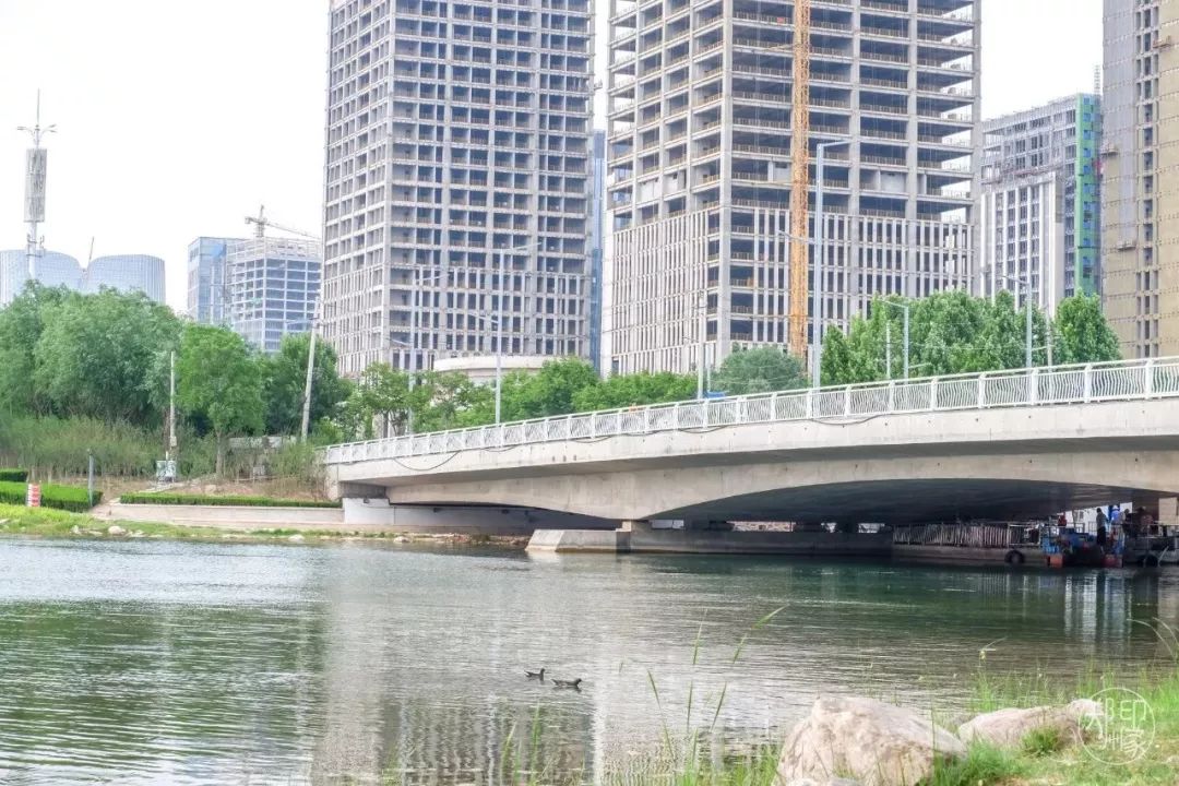 龙子湖沙滩游乐场在什么位置,蚌埠龙子湖网红沙滩多少钱