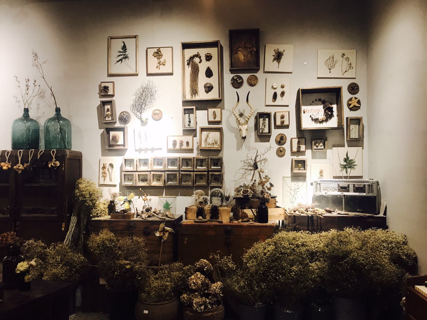 干花制作室内,小干花装饰diy