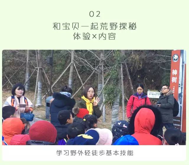 都江堰熊猫谷铲屎官报名,成都大熊猫铲屎官志愿者活动