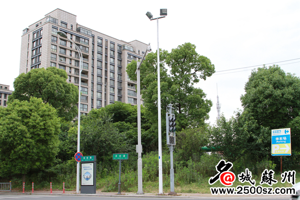 学校驱逐流浪狗防止学生被咬,大学生喂流浪狗被咬伤