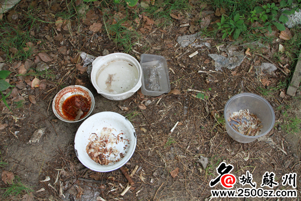 学校驱逐流浪狗防止学生被咬,大学生喂流浪狗被咬伤