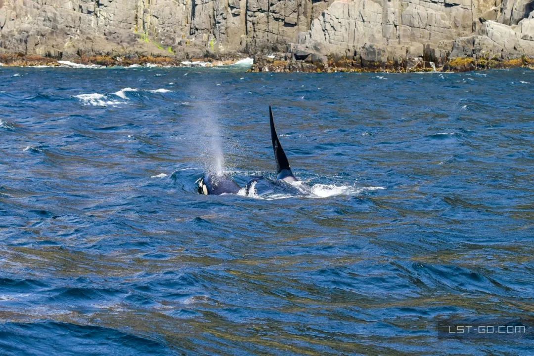 这些海岛人少景美不输马代,马尔代夫一价全包亲子游岛屿推荐