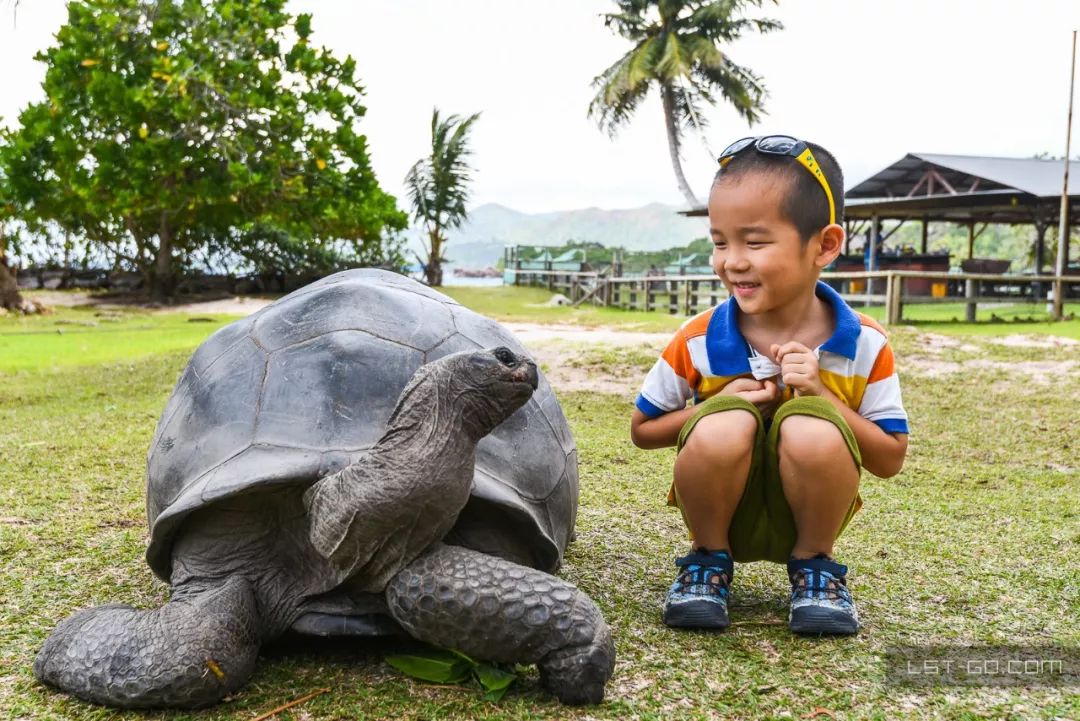这些海岛人少景美不输马代,马尔代夫一价全包亲子游岛屿推荐