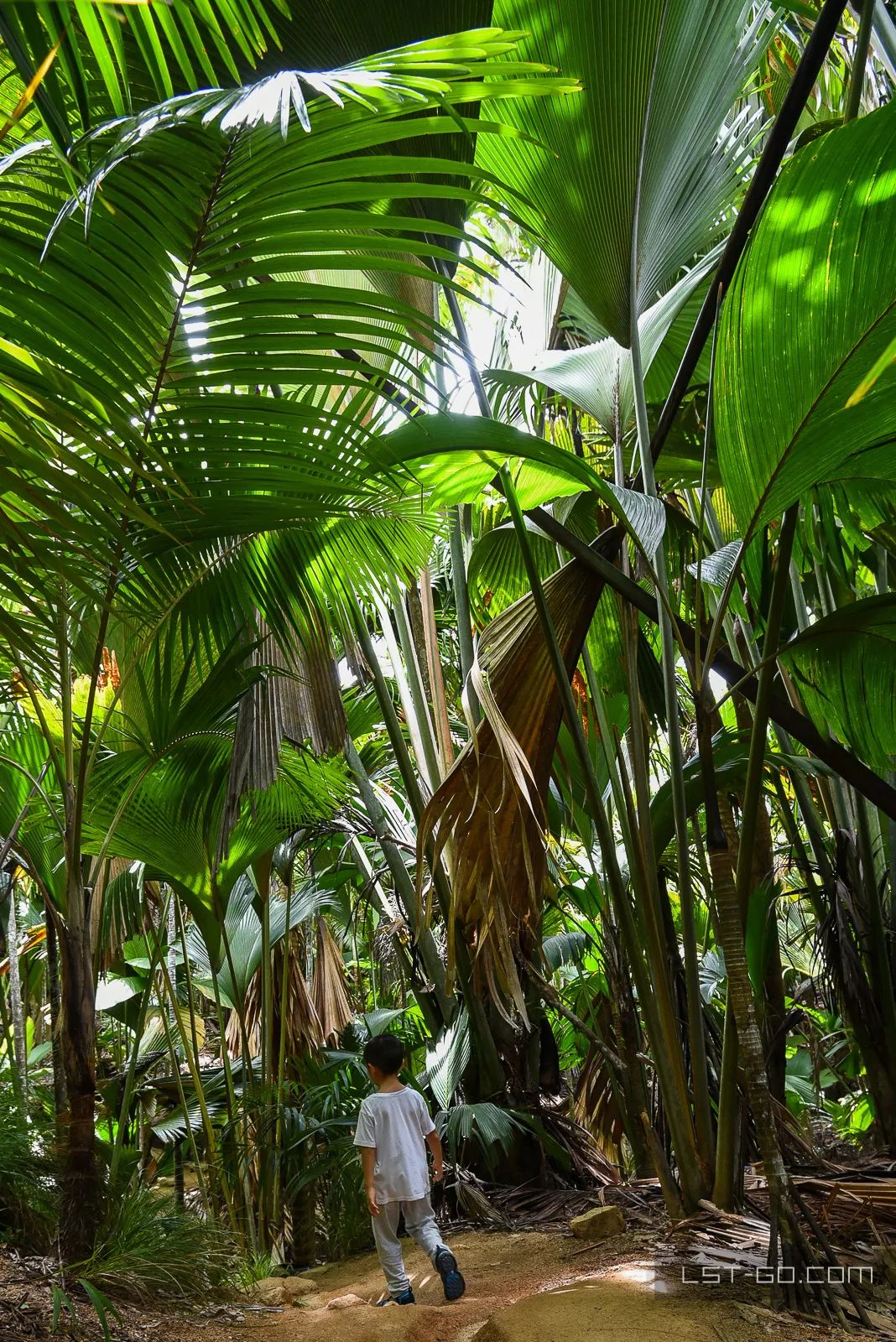 这些海岛人少景美不输马代,马尔代夫一价全包亲子游岛屿推荐