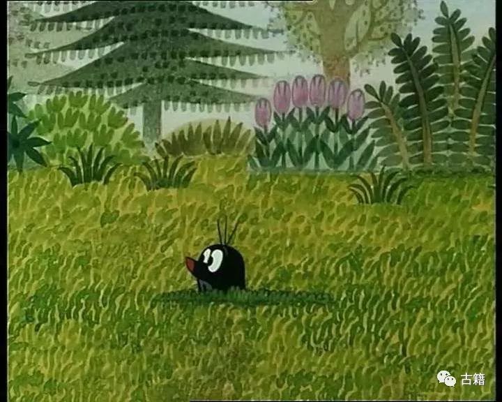 那些年我们一起追过的电影,那些年我们一起追过的剧