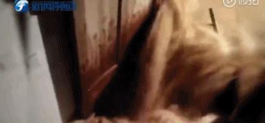 福州永泰强降雨,福州永泰县大暴雨