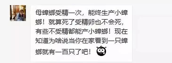 什么武器才能消灭蟑螂,制造消灭蟑螂的大型武器