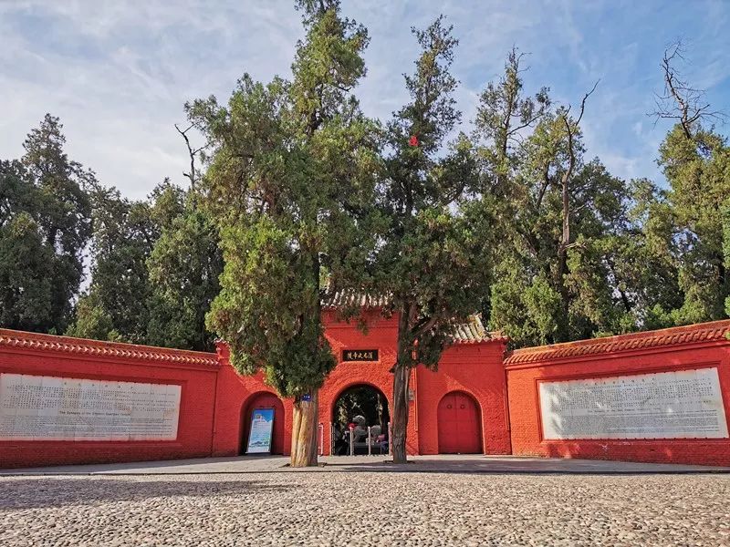 洛阳值得打卡的网红地方,洛阳网红打卡山有哪些景点