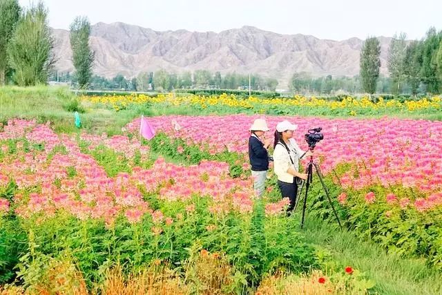 对焦和测光的分离怎么拍摄照片,拍照对焦技巧有哪些图片