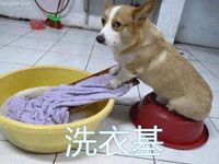 经期神器,经期必备神器