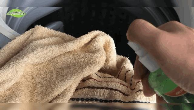 除螨仪只要一块钱有效去除螨虫,澳洲去螨虫喷雾