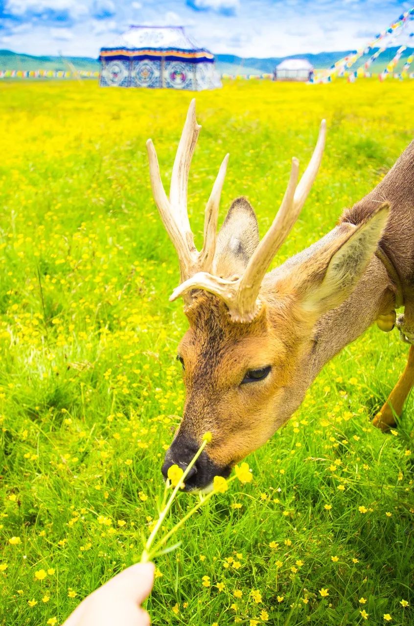 一个人说走就走旅行清单,一个人的旅行清单不用等最爱的人