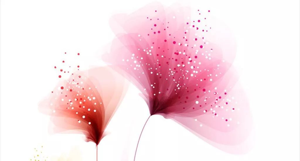 幸福的饭局,幸福有配方电视剧全集