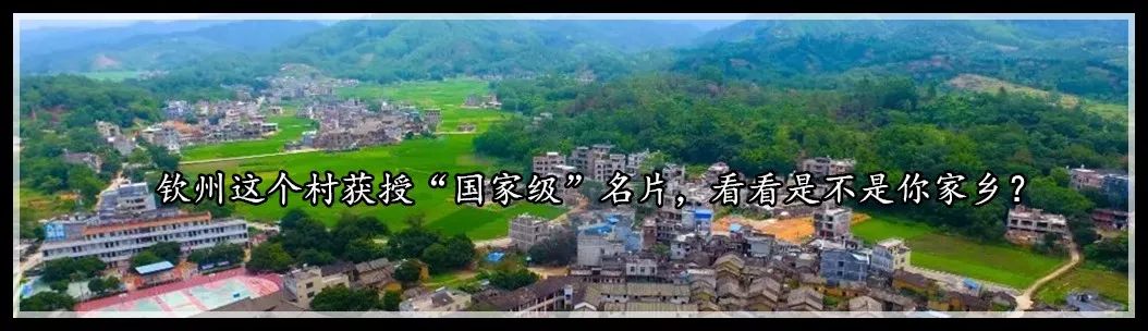 2019年广西高考作文满分作文,2020高考作文题出炉全国卷一