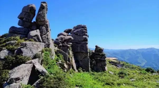 旅发大会沽源,张家口沽源旅发大会