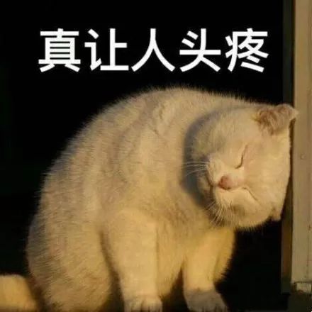 100%正品正宗纯天然桑蚕丝蚕丝被,正品纯手工100桑蚕丝被