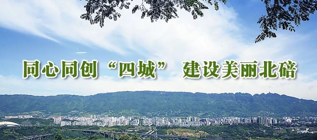 城南公园有什么游乐项目,城南公园有哪些好玩的项目