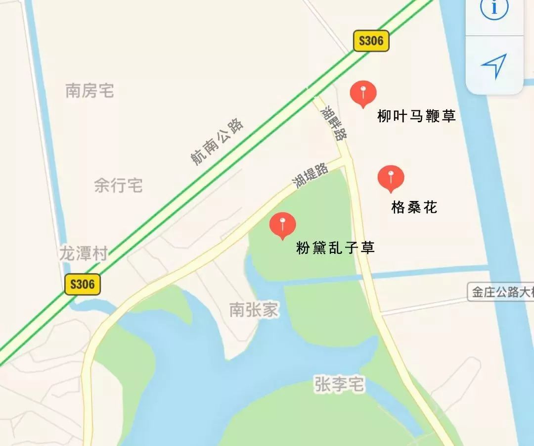 上海奉贤花海免费景点,上海奉贤花海