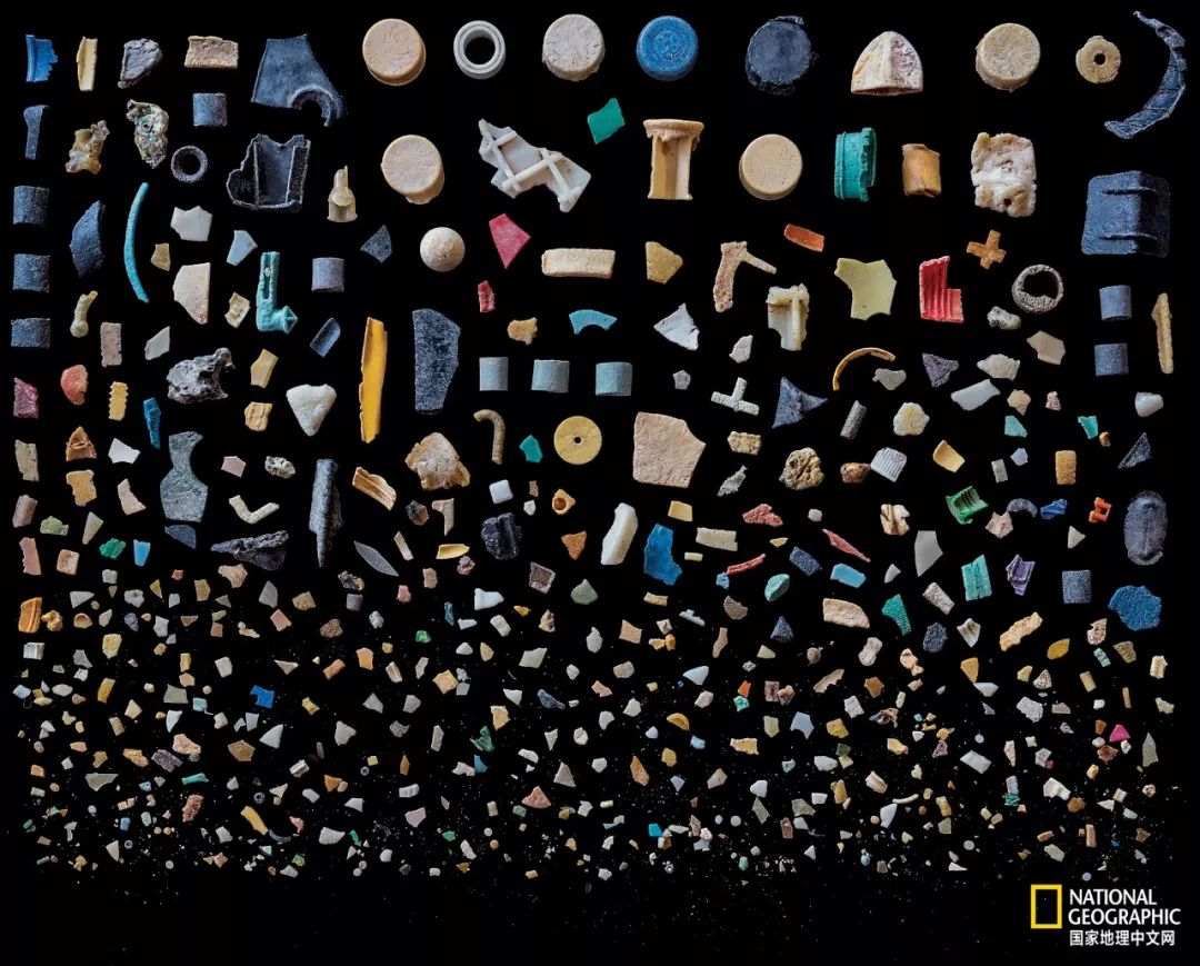 最脏的冰棍,世界上最肮脏的冰棍