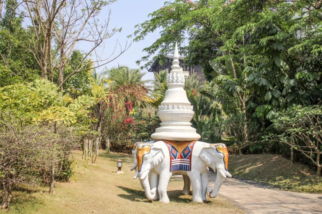 希尔顿最值得购买的酒店,云南丽江晶玺希尔顿酒店