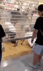 优衣库kaws为什么受欢迎,优衣库x和kaws哪个好用