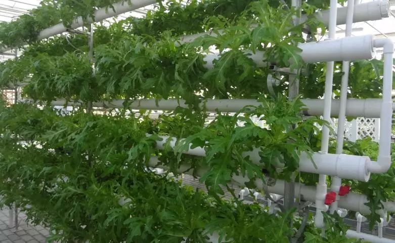 端午小长假去哪玩来这里过足瘾,临河五一假日攻略